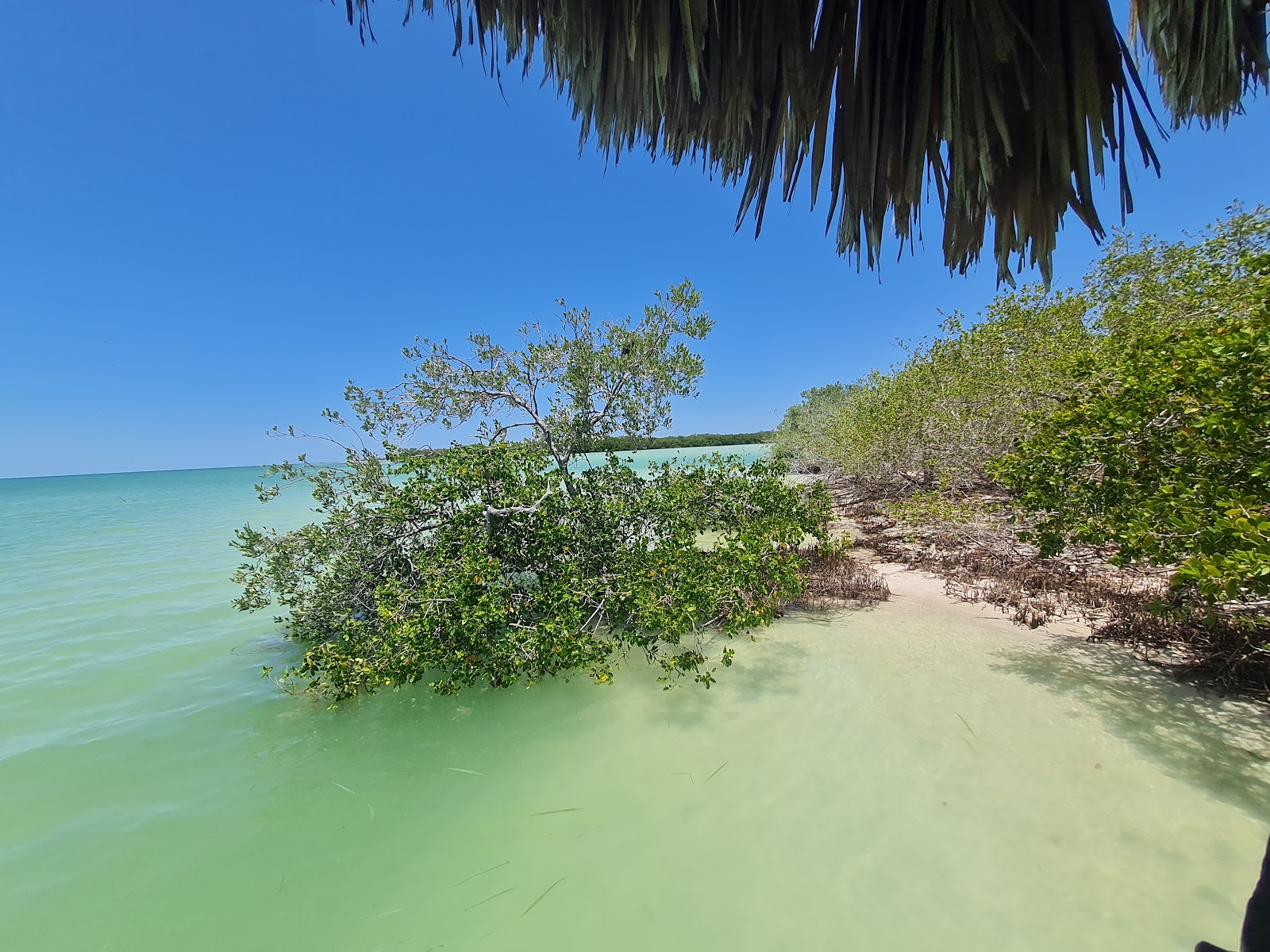Isla de la Pasion - Conzumel