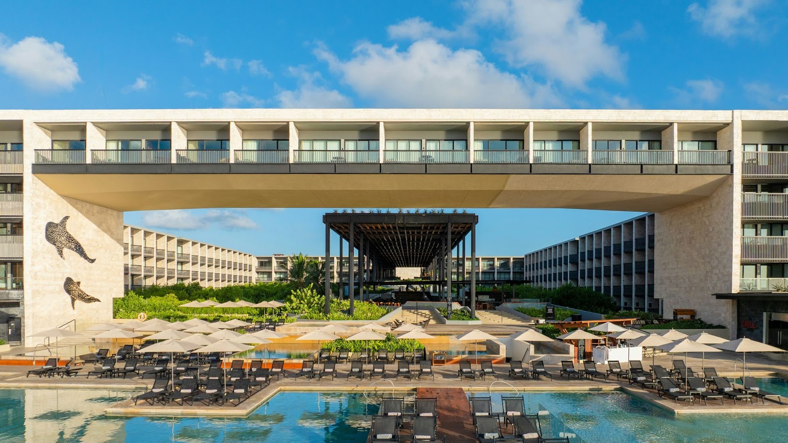 Devossion by Live Aqua Playa del Carmen - Riviera Maya