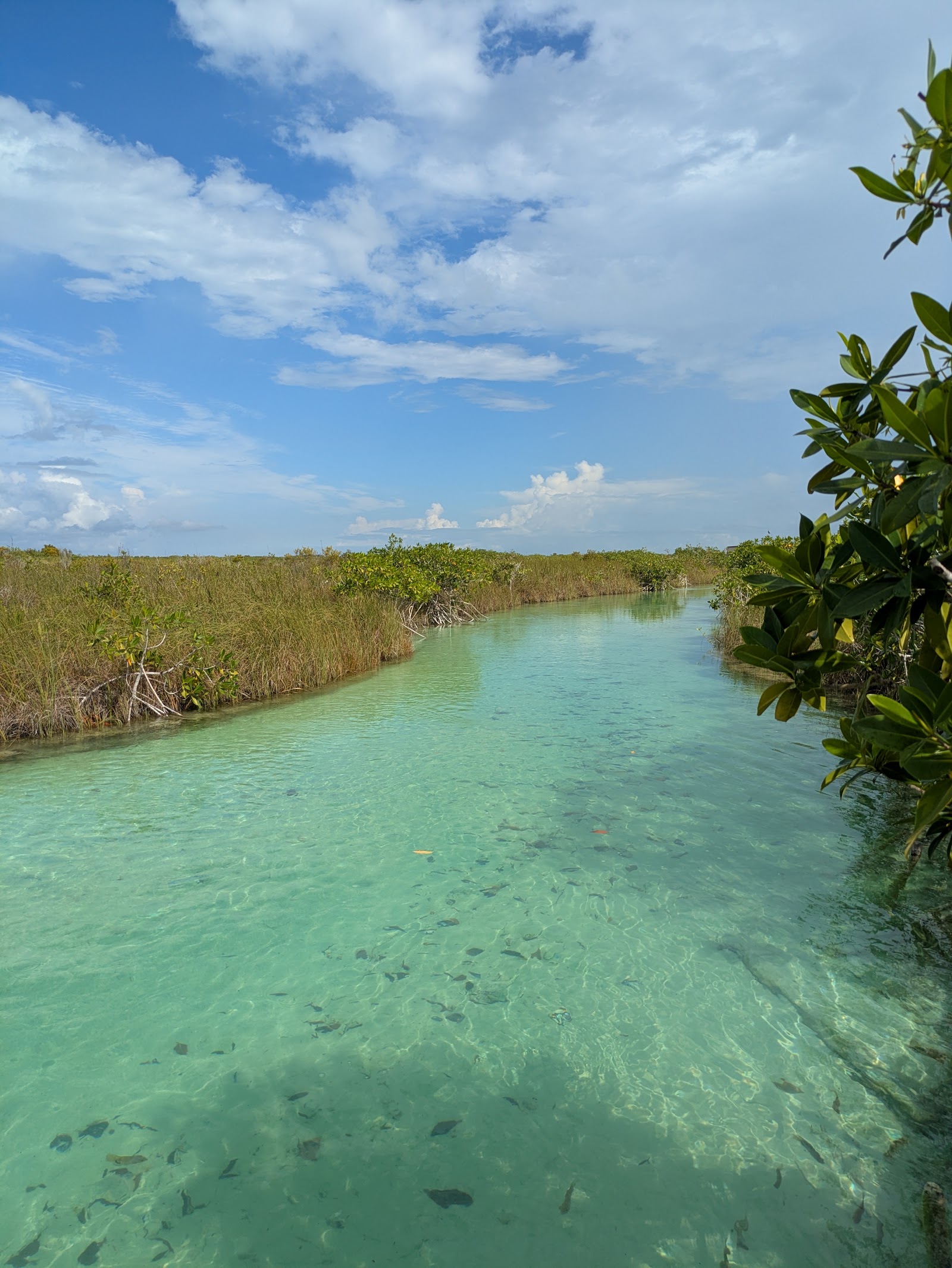 Sian Ka'an Biosphere Reserve - Riviera Maya