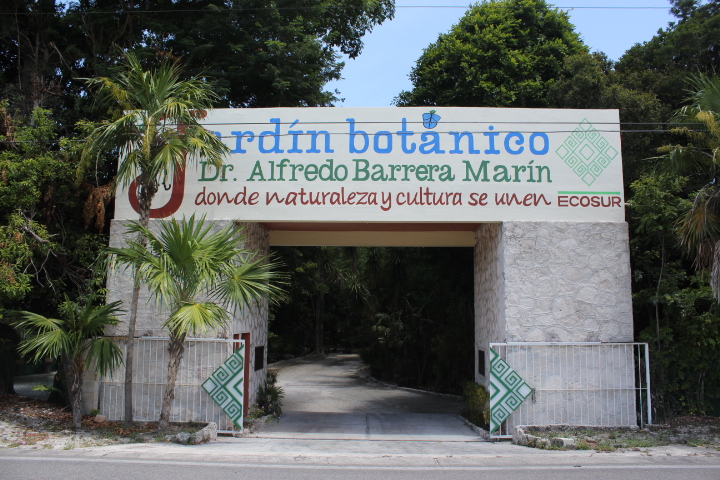 Jardín Botánico Dr. Alfredo Barrera Marín - Riviera Maya