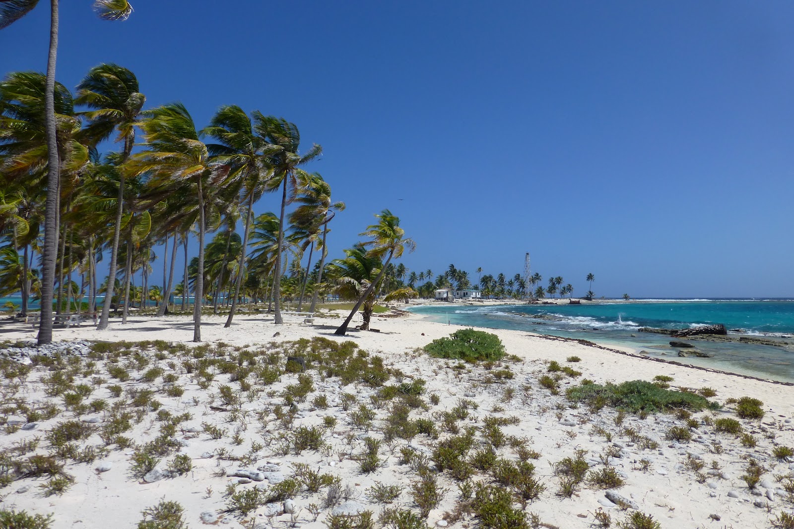 Half Moon Caye Natural Monument - Belize