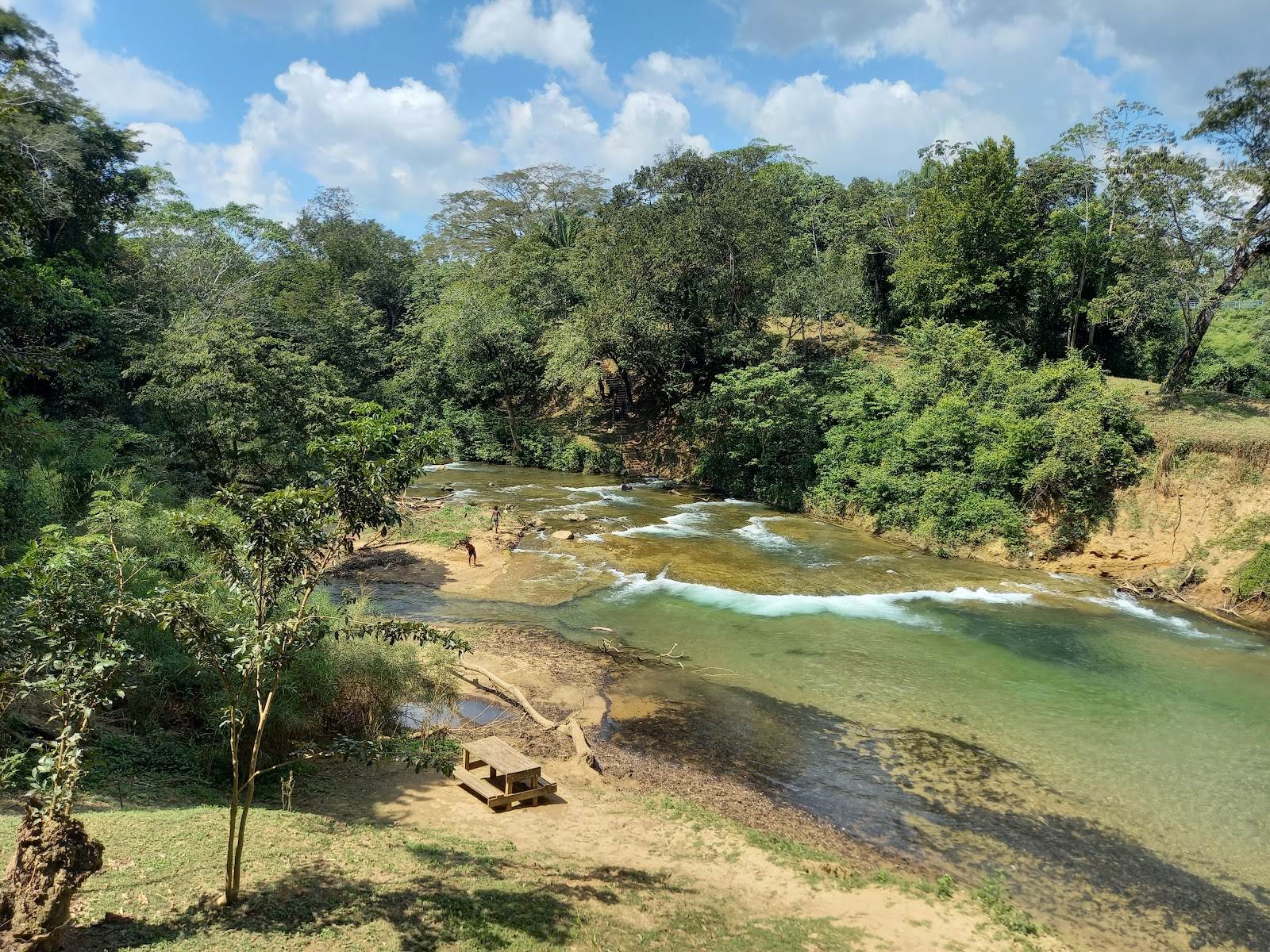 Guanacaste National Park - Belize