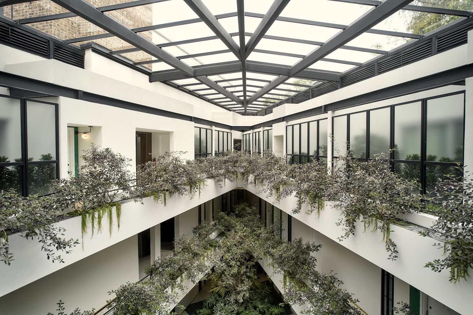 Kimpton Virgilio - Mexico City