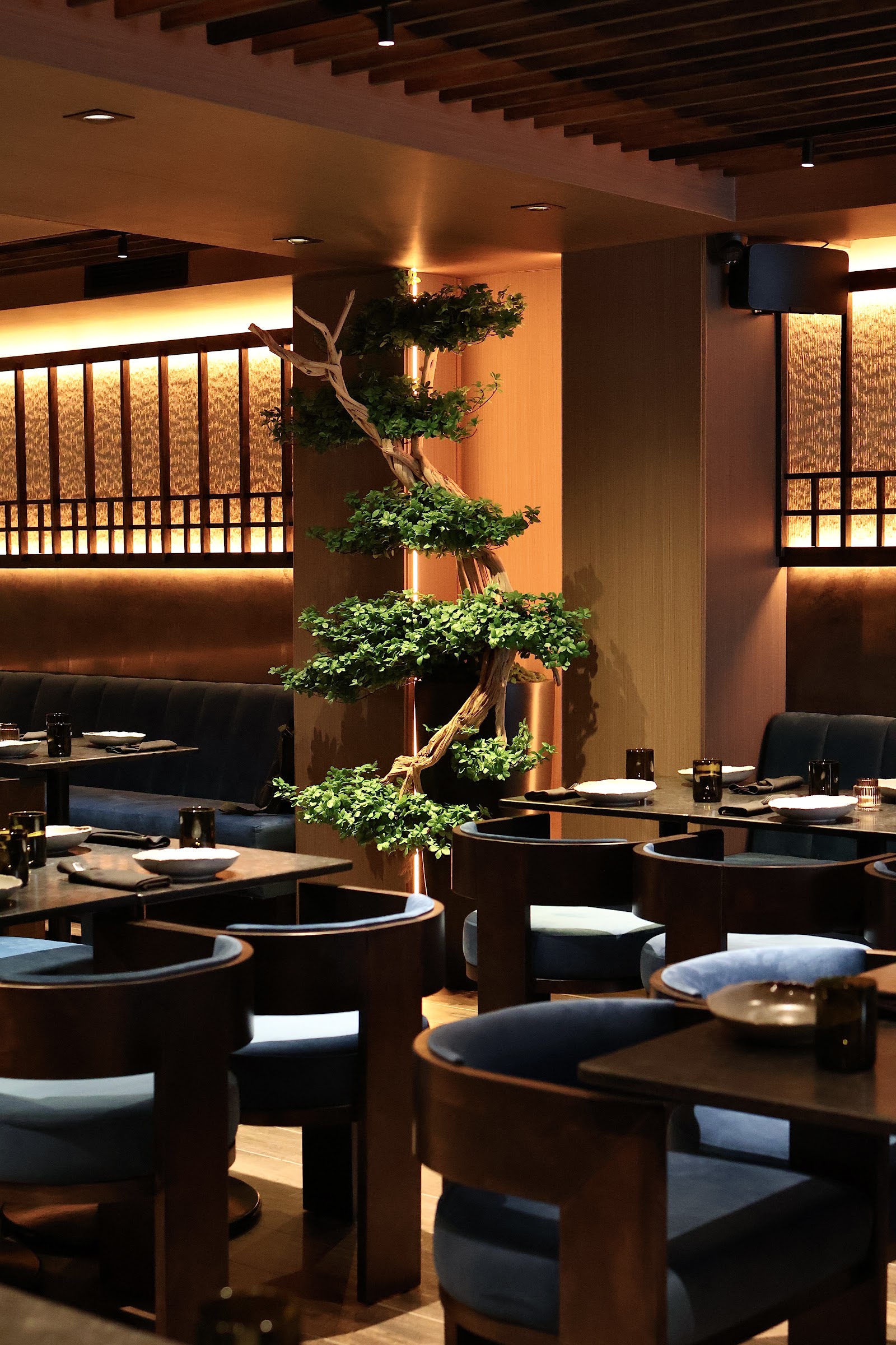 Yakimono - Montreal, QC