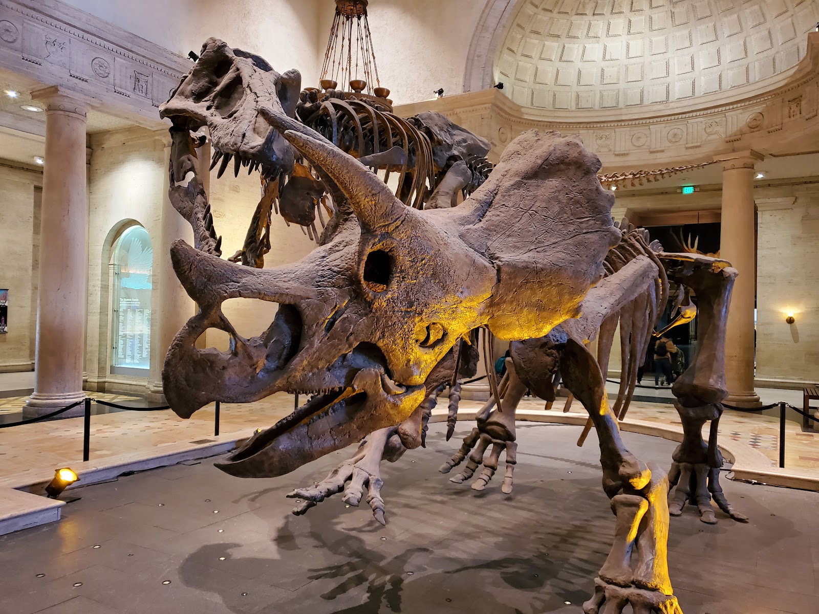 Natural History Museum of Los Angeles County - Los Angeles, CA