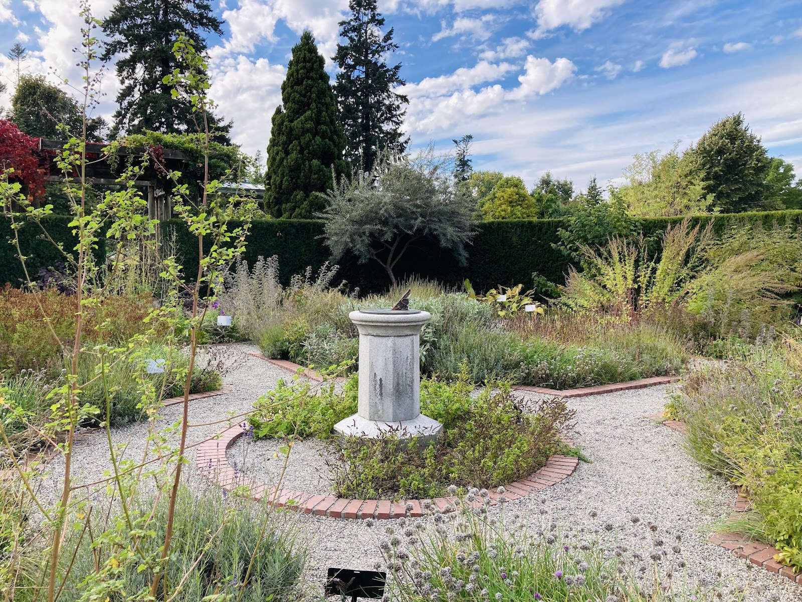 UBC Botanical Garden - Vancouver, BC