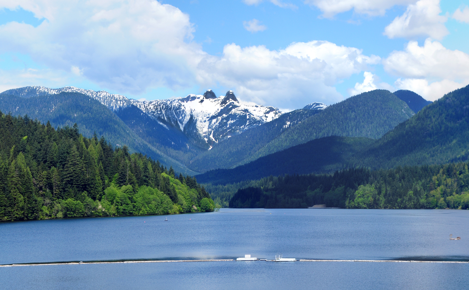 Capilano River Regional Park - Vancouver, BC