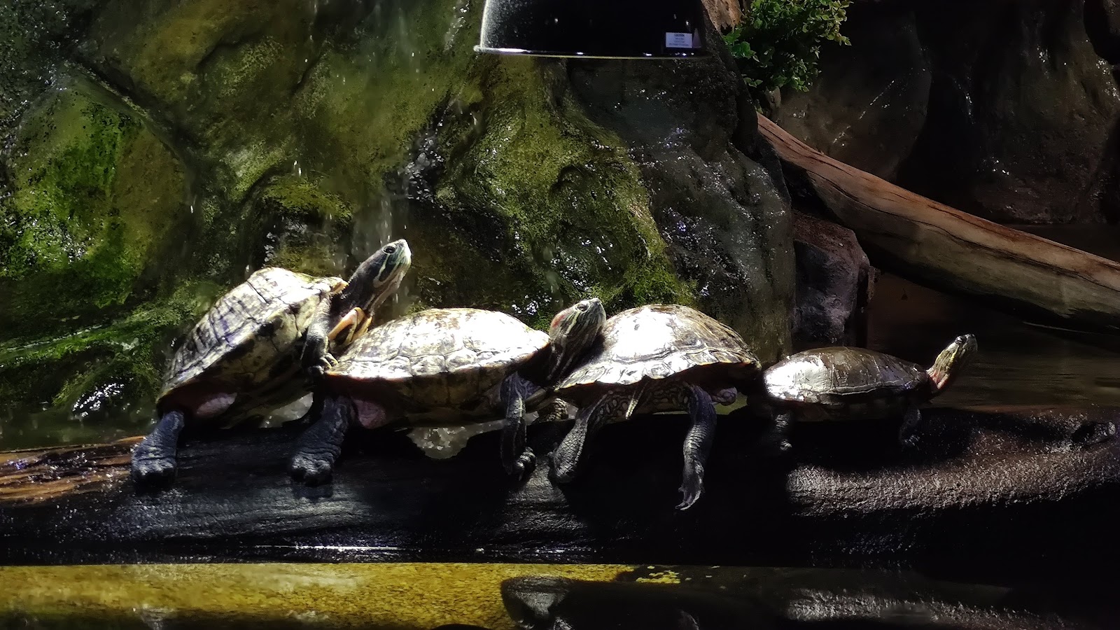 Greater Cleveland Aquarium - Cleveland, OH