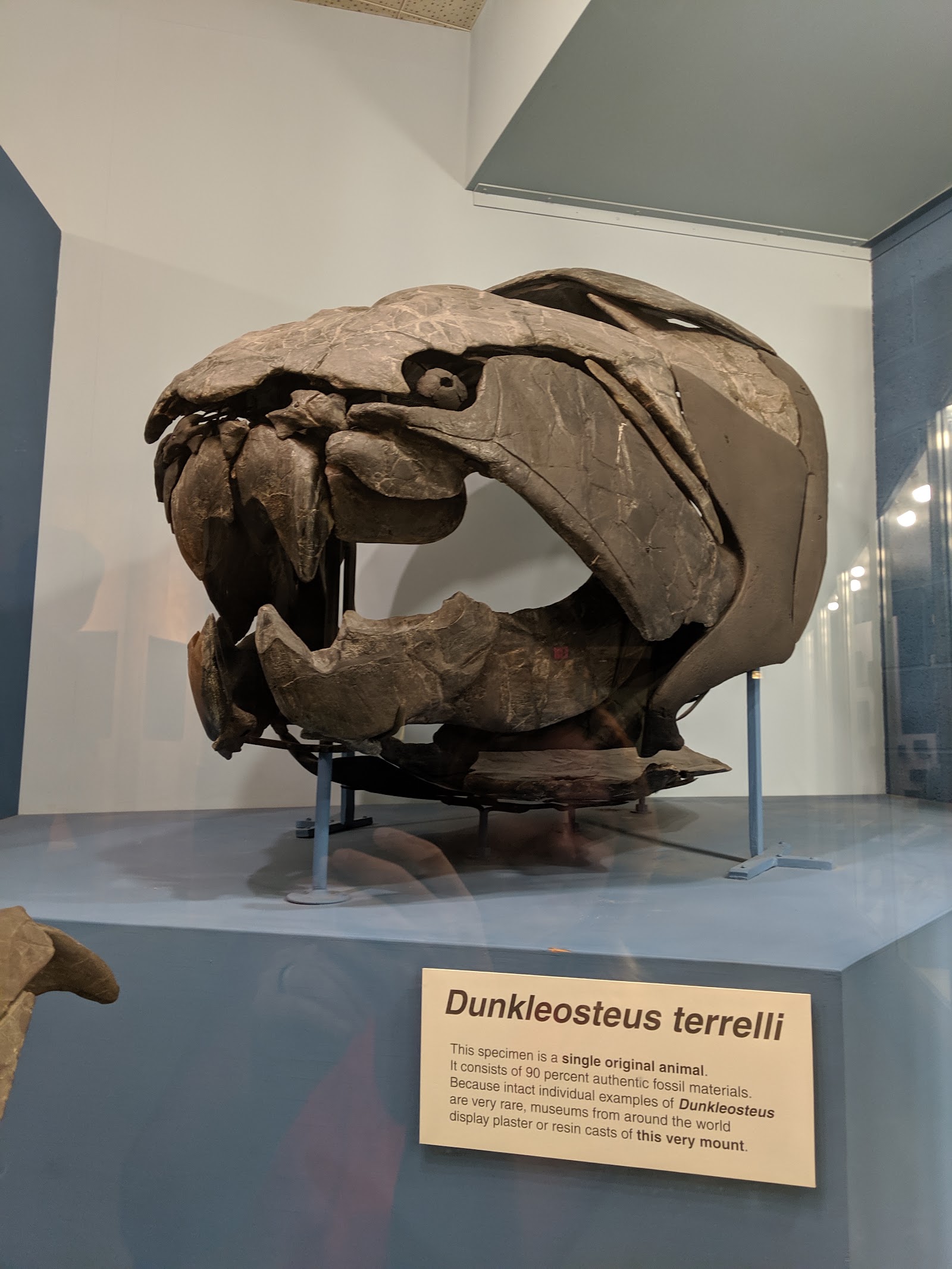 Cleveland Museum of Natural History - Cleveland, OH