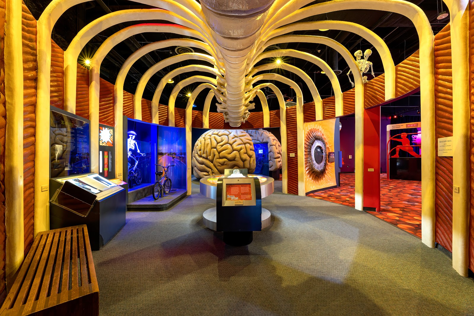 The Health Museum - Houston, TX
