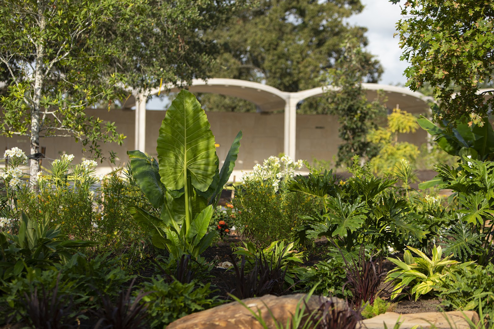 Houston Botanic Garden - Houston, TX