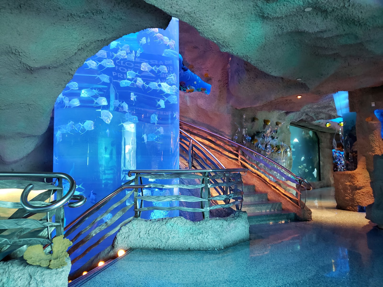 Downtown Aquarium - Houston, TX