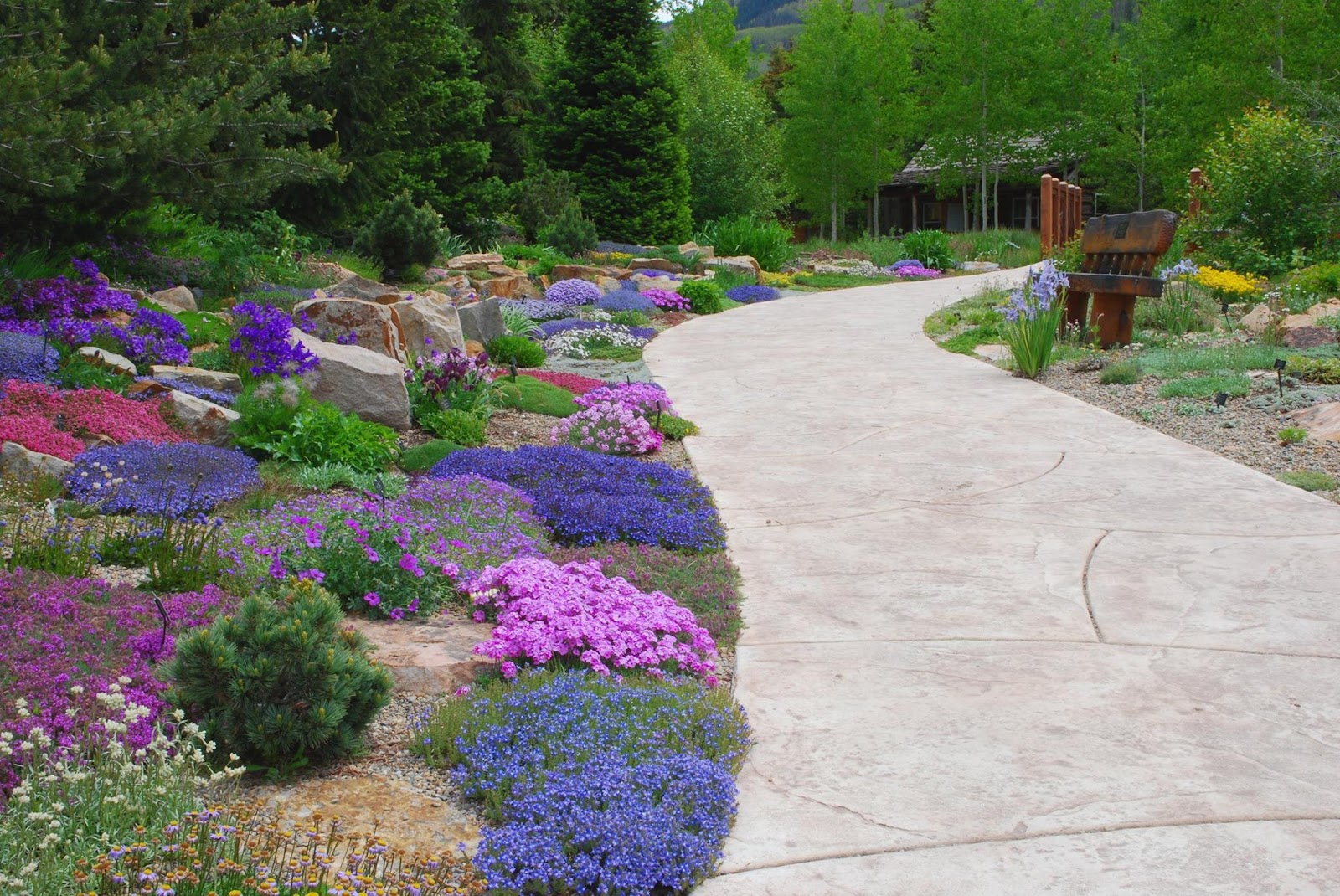 Betty Ford Alpine Gardens - Vail, CO